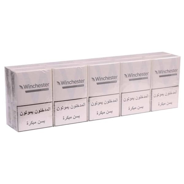 Winchester Silver Carton - Pack of 10